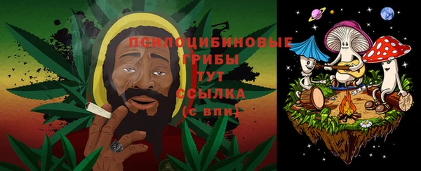 эйфоретик Арсеньев