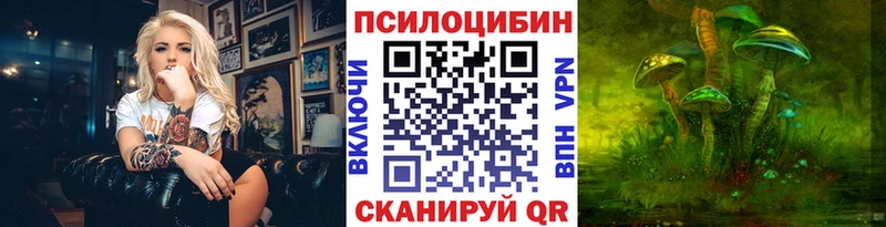 omg как зайти  Салаир  Псилоцибиновые грибы ЛСД  наркотики 